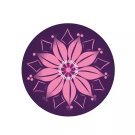 Set samolepiek Nikidom Roller Wheel Stickers Spring