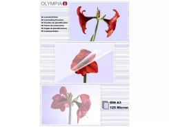 Olympia Laminovacie fólie A3 125 mic. 50 ks