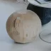 2022-12-10_BOL_VLIP_Zilalila (10)-clipped